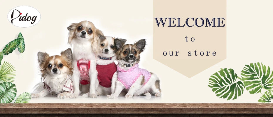 Collare per cani personalizzato Collari per cani in nylon resistente con nome per animali domestici inciso gratuito Collana con fibbia regolabile per cani di taglia piccola, media e grande