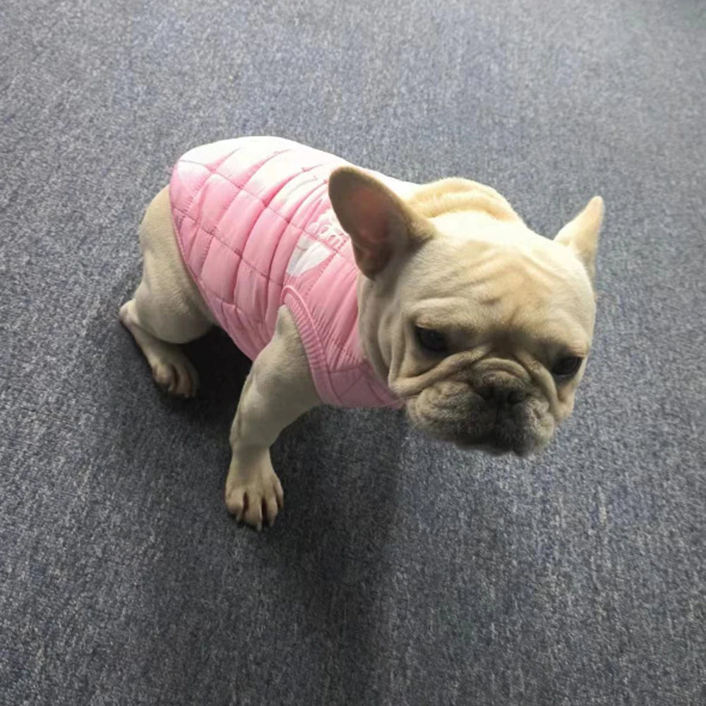 Giacca Morbida e Calda per Cani di Taglia Media, Cappotto Invernale Antivento per Gatti Piccoli, Gilet per Cuccioli con Gancio