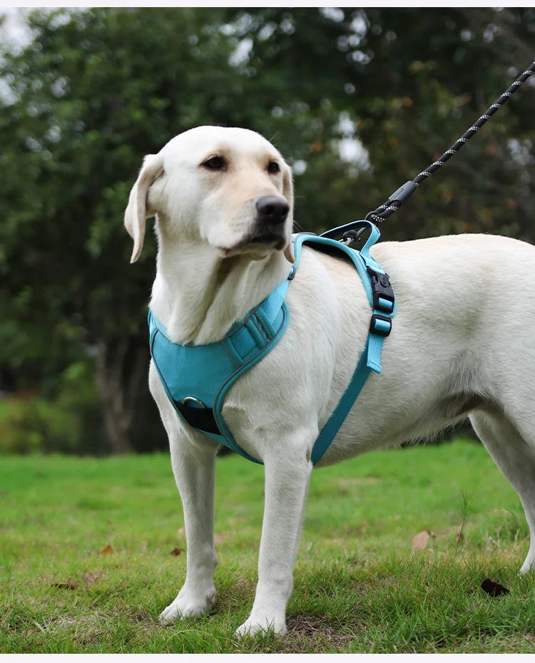 Guinzaglio anti-smarrimento per cani da addestramento all'aperto, pettorina per cani compatibile con AirTag, collare per cani, accessori per cani