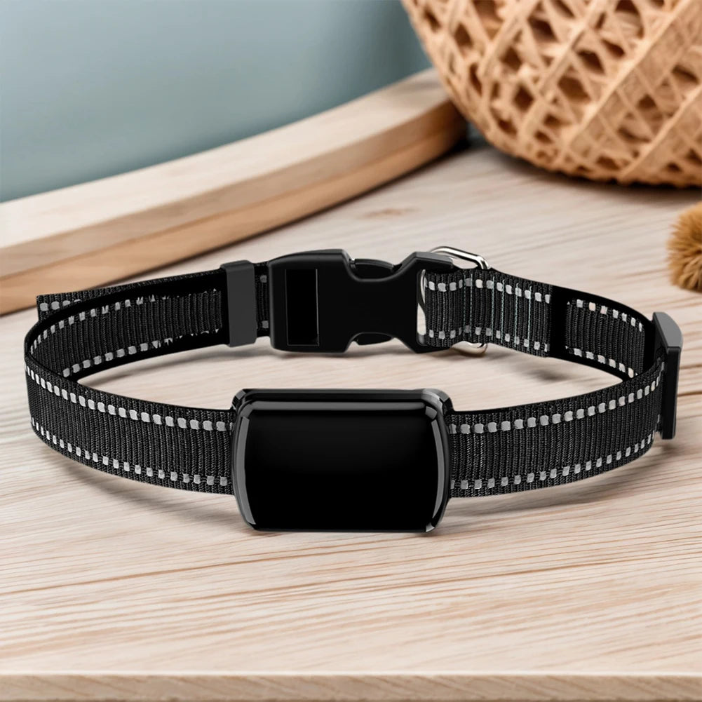 Localizzatore GPS per animali domestici con collare regolabile Localizzatore intelligente per animali domestici Localizzatore per gatti per cani e gatti
