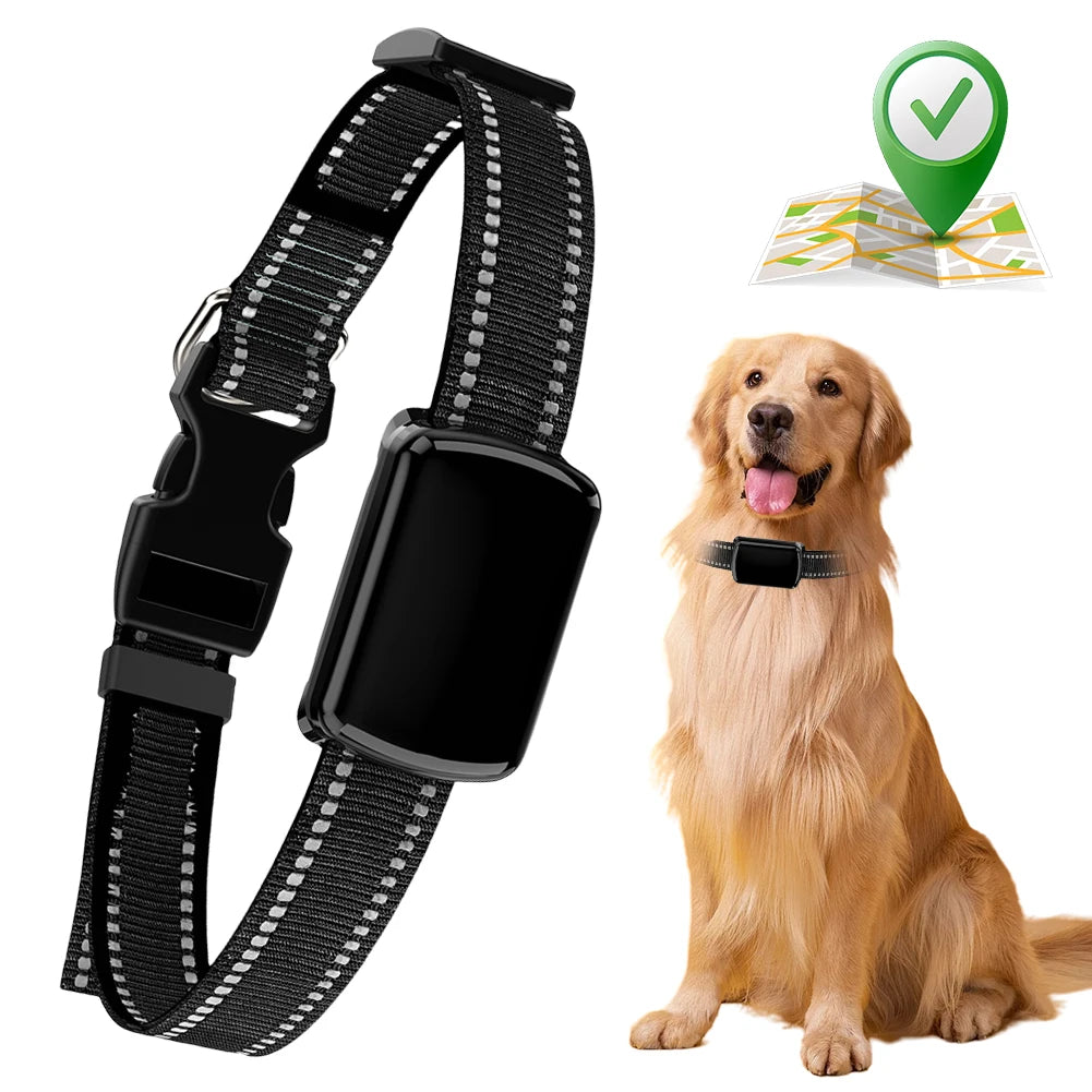 Localizzatore GPS per animali domestici con collare regolabile Localizzatore intelligente per animali domestici Localizzatore per gatti per cani e gatti
