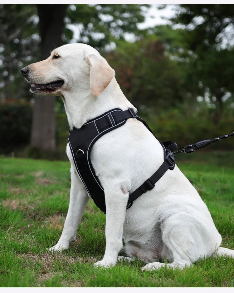 Guinzaglio anti-smarrimento per cani da addestramento all'aperto, pettorina per cani compatibile con AirTag, collare per cani, accessori per cani