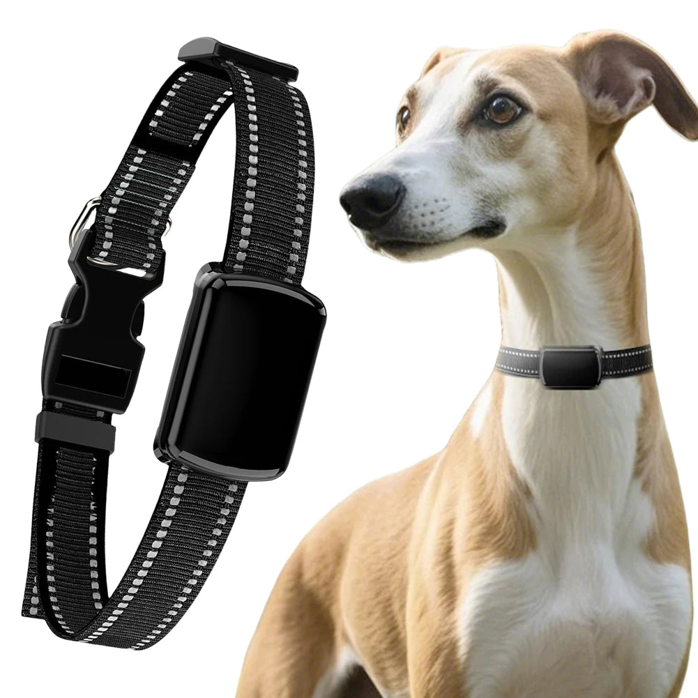 Localizzatore GPS per animali domestici con collare regolabile Localizzatore intelligente per animali domestici Localizzatore per gatti per cani e gatti
