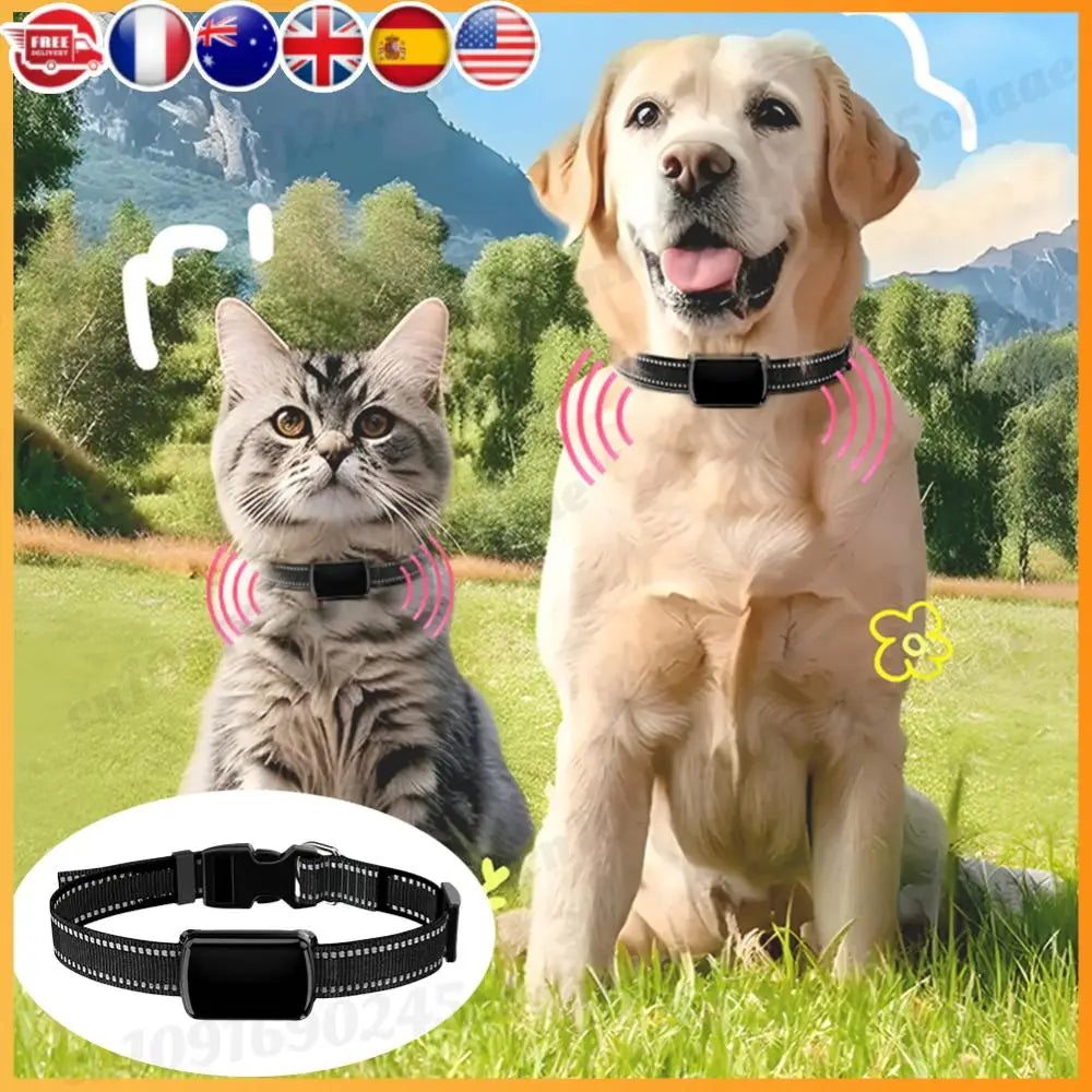 Localizzatore GPS per animali domestici con collare regolabile Localizzatore intelligente per animali domestici Localizzatore per gatti per cani e gatti