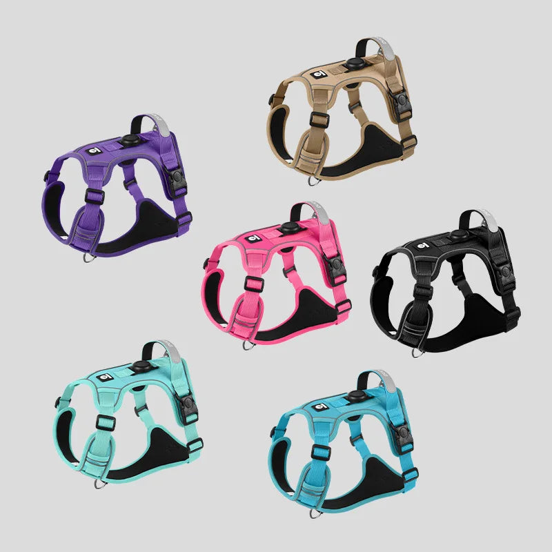 Guinzaglio anti-smarrimento per cani da addestramento all'aperto, pettorina per cani compatibile con AirTag, collare per cani, accessori per cani