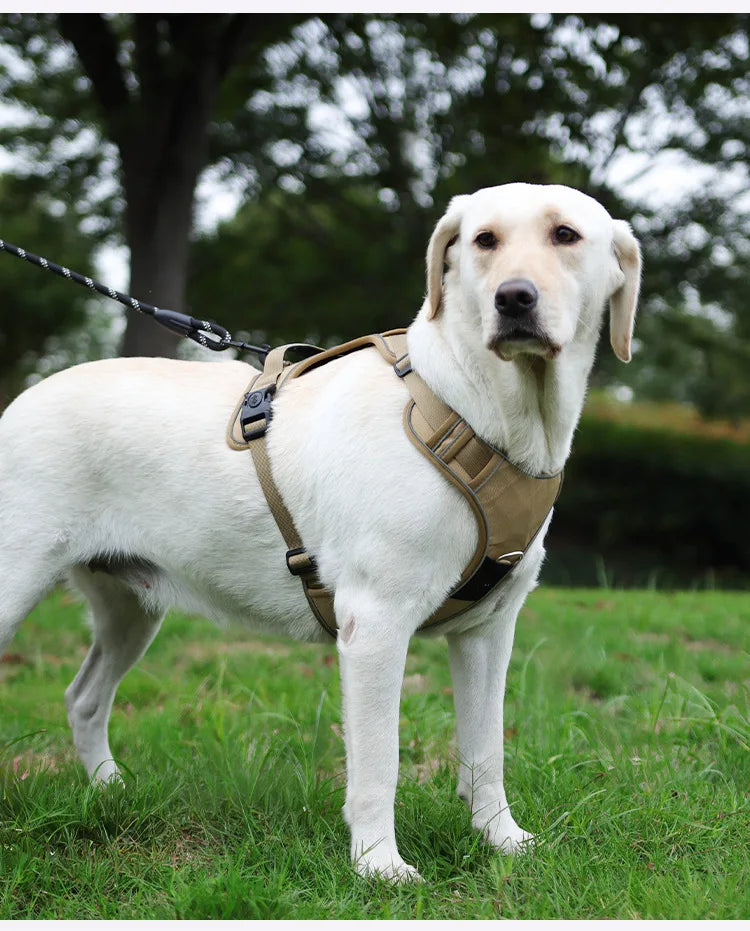 Guinzaglio anti-smarrimento per cani da addestramento all'aperto, pettorina per cani compatibile con AirTag, collare per cani, accessori per cani