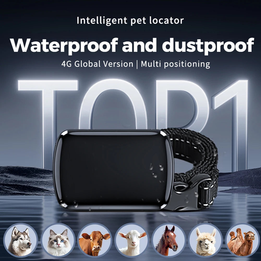 Localizzatore GPS per animali domestici con collare regolabile Localizzatore intelligente per animali domestici Localizzatore per gatti per cani e gatti