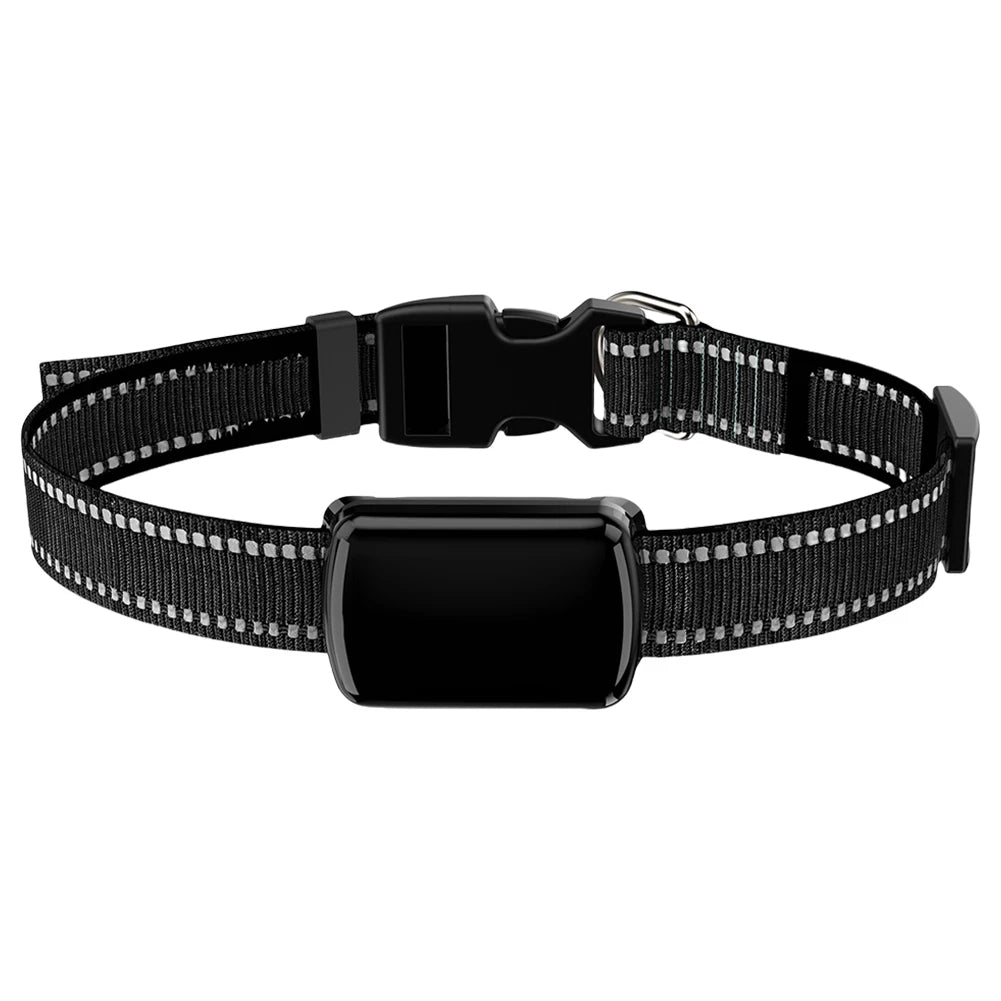 Localizzatore GPS per animali domestici con collare regolabile Localizzatore intelligente per animali domestici Localizzatore per gatti per cani e gatti