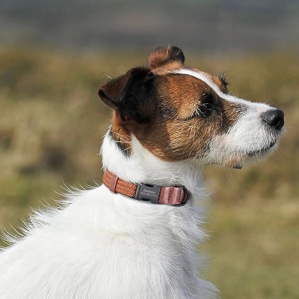 Collare per cani personalizzato Collari per cani in nylon resistente con nome per animali domestici inciso gratuito Collana con fibbia regolabile per cani di taglia piccola, media e grande