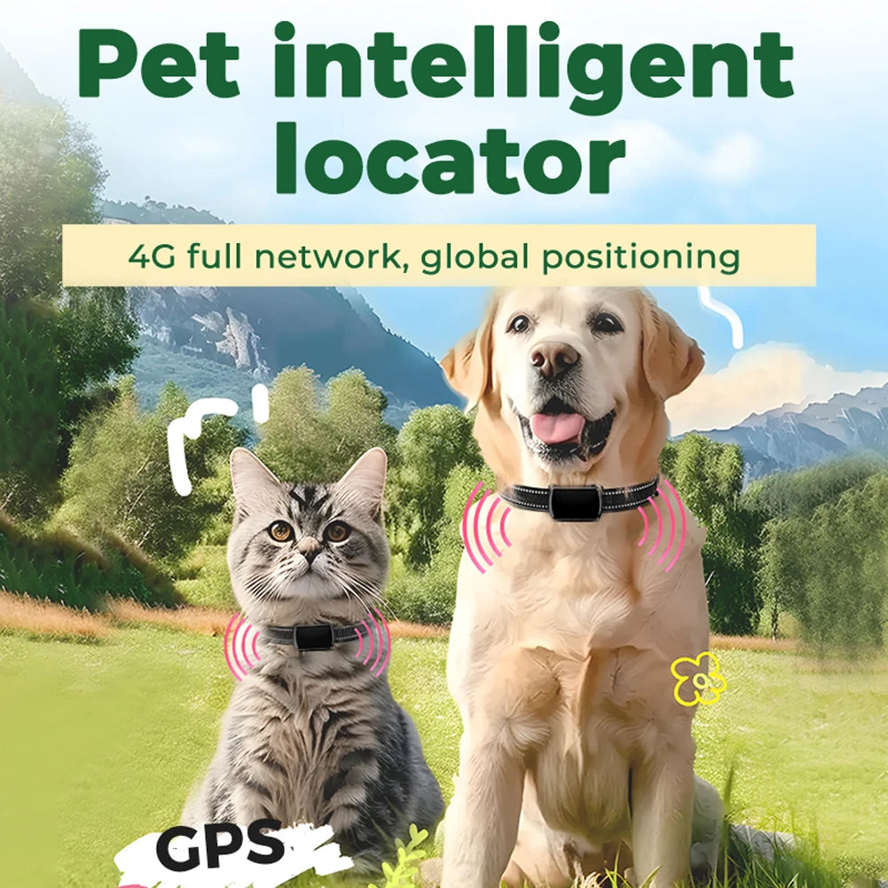 Localizzatore GPS per animali domestici con collare regolabile Localizzatore intelligente per animali domestici Localizzatore per gatti per cani e gatti