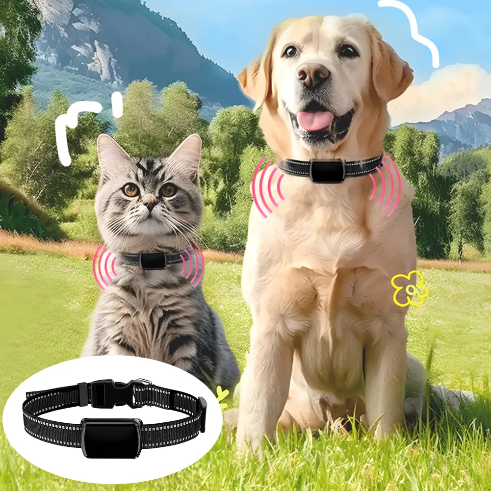 Localizzatore GPS per animali domestici con collare regolabile Localizzatore intelligente per animali domestici Localizzatore per gatti per cani e gatti