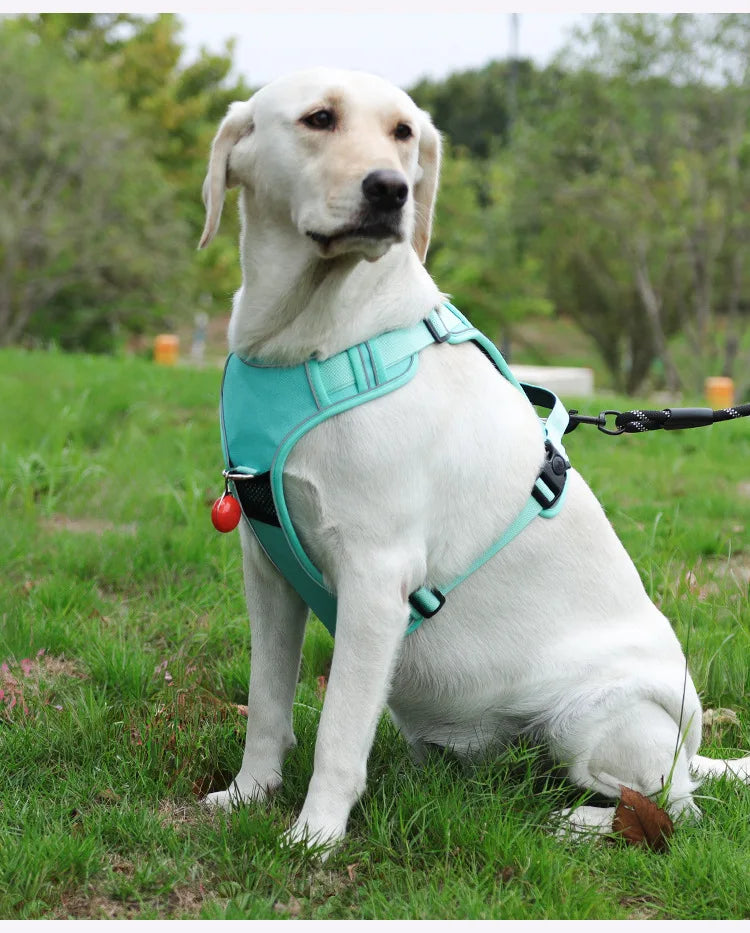 Guinzaglio anti-smarrimento per cani da addestramento all'aperto, pettorina per cani compatibile con AirTag, collare per cani, accessori per cani