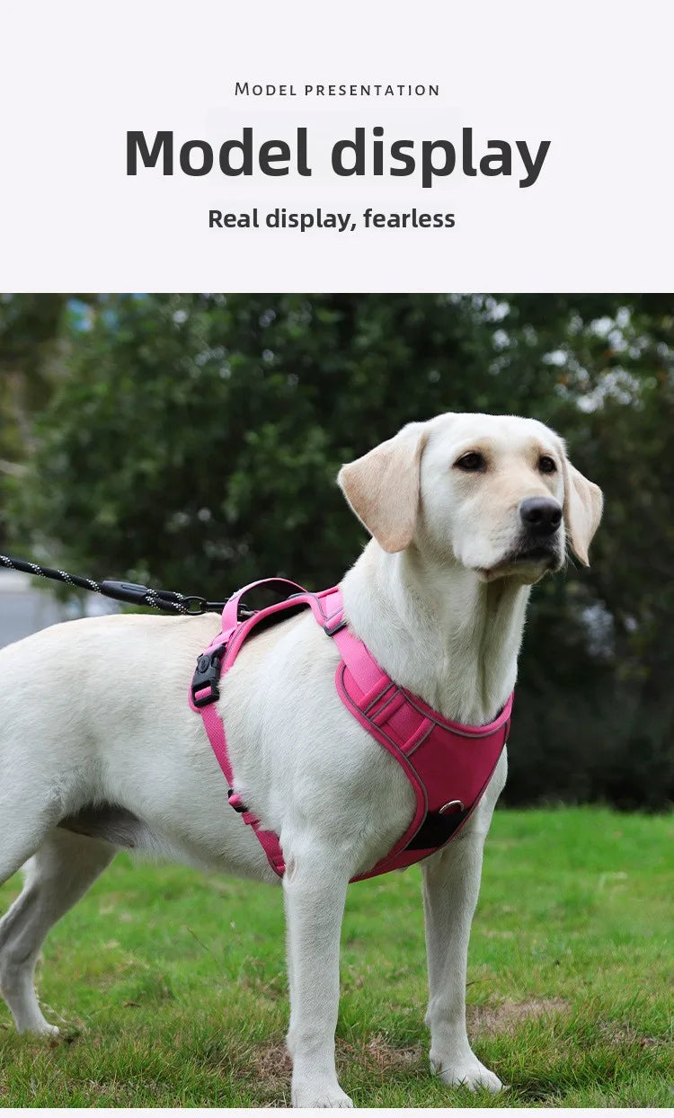 Guinzaglio anti-smarrimento per cani da addestramento all'aperto, pettorina per cani compatibile con AirTag, collare per cani, accessori per cani