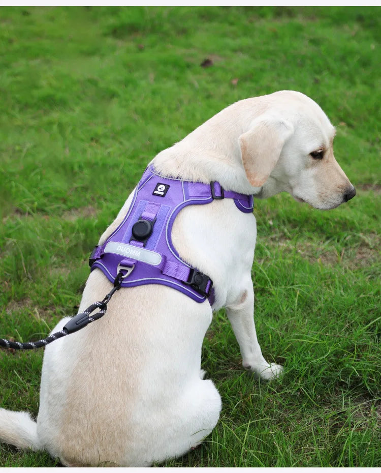 Guinzaglio anti-smarrimento per cani da addestramento all'aperto, pettorina per cani compatibile con AirTag, collare per cani, accessori per cani