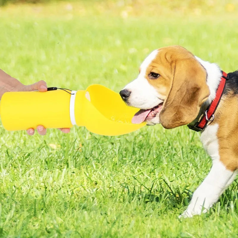 Bottiglia d'Acqua da Viaggio per Animali: Dispenser d'Acqua Pieghevole per Cani con Vassoio - Soluzione Portatile Antigoccia per Idratazione all'Aperto