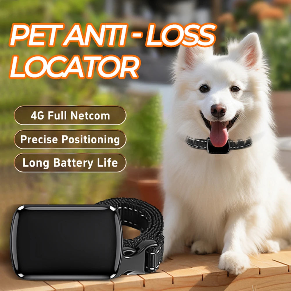 Localizzatore GPS per animali domestici con collare regolabile Localizzatore intelligente per animali domestici Localizzatore per gatti per cani e gatti