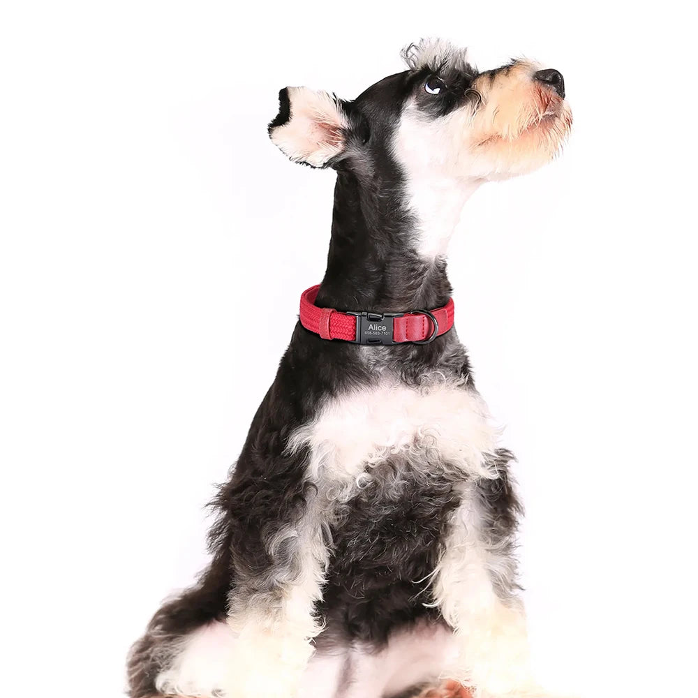 Collare per cani personalizzato Collari per cani in nylon resistente con nome per animali domestici inciso gratuito Collana con fibbia regolabile per cani di taglia piccola, media e grande